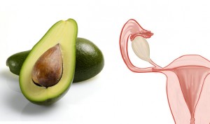 04-Avocados-UterusFoods-That-Look-Like-Body-Parts-1-628x371