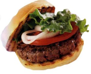 hamburger02