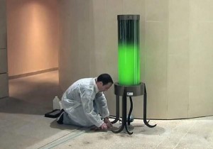 algae lamp