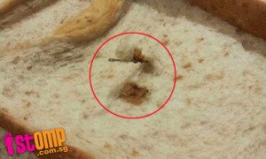 nasty_surprise_bread_contains_needle_and_rust_marks-thumbnail