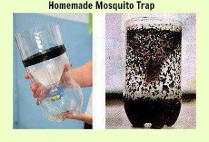 komarci domasna zamka
