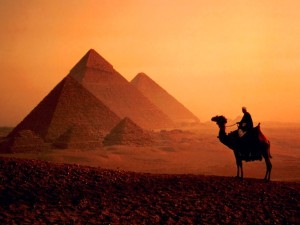 egypt-camel