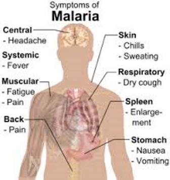 malarija3