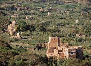 300px-Khat_fields_in_western_yemen