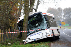avtobus