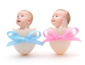 bebe jajce