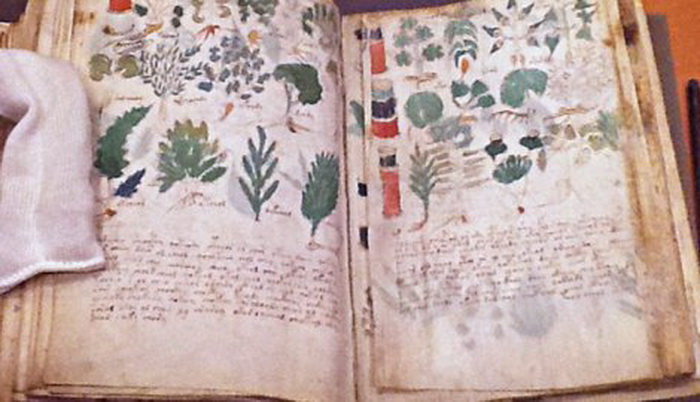 voynich-foto-beinecke-rare-book-and-manuscript-library-01