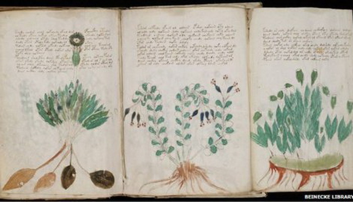 voynich-foto-beinecke-rare-book-and-manuscript-library-03