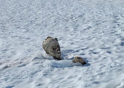 mumija sneg
