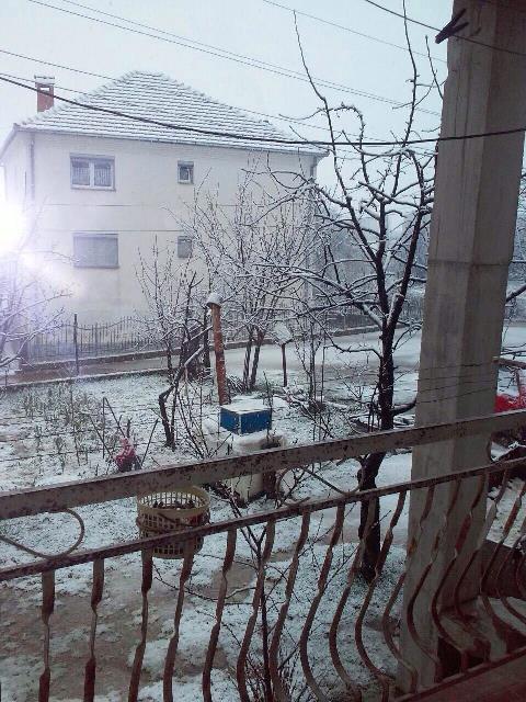 kicevo sneg mk