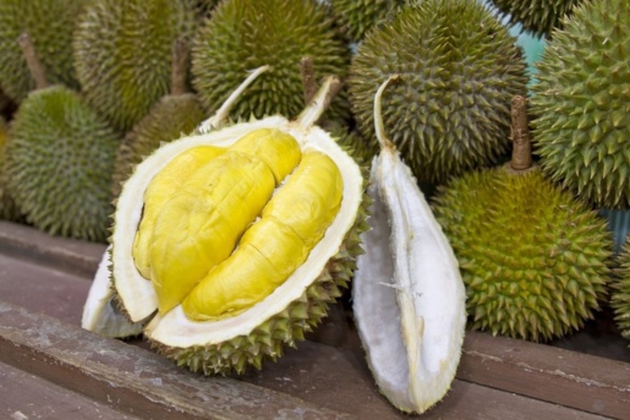 durian-585x390-20151147-20151129212926-b837f6585eb93ad943dec3b468c28db6