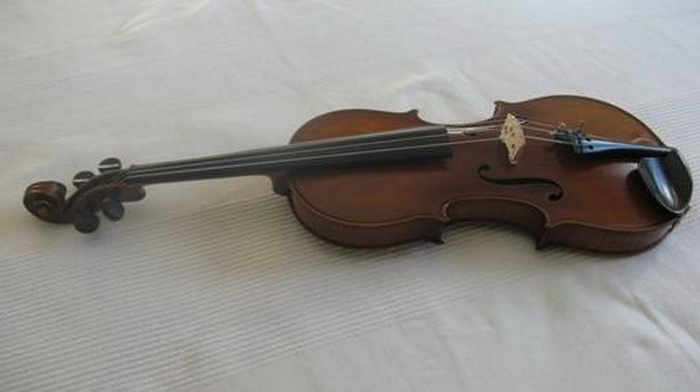 violina-322